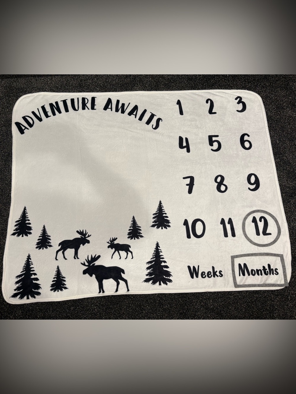 Adventure Awaits Baby Milestone Blanket